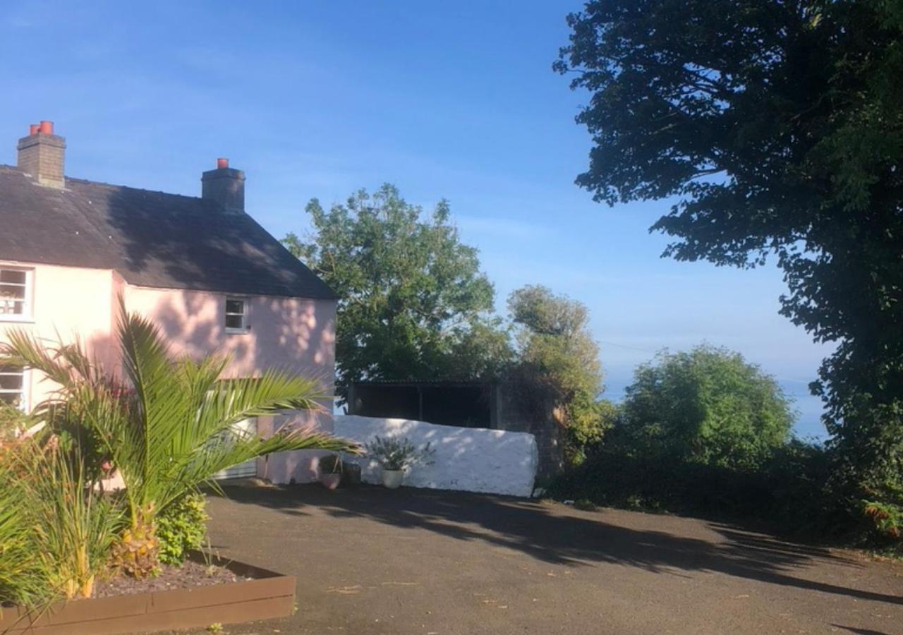 The Pink Cottage Upstairs Suite & Garden Summer Room Whitehead Eksteriør bilde