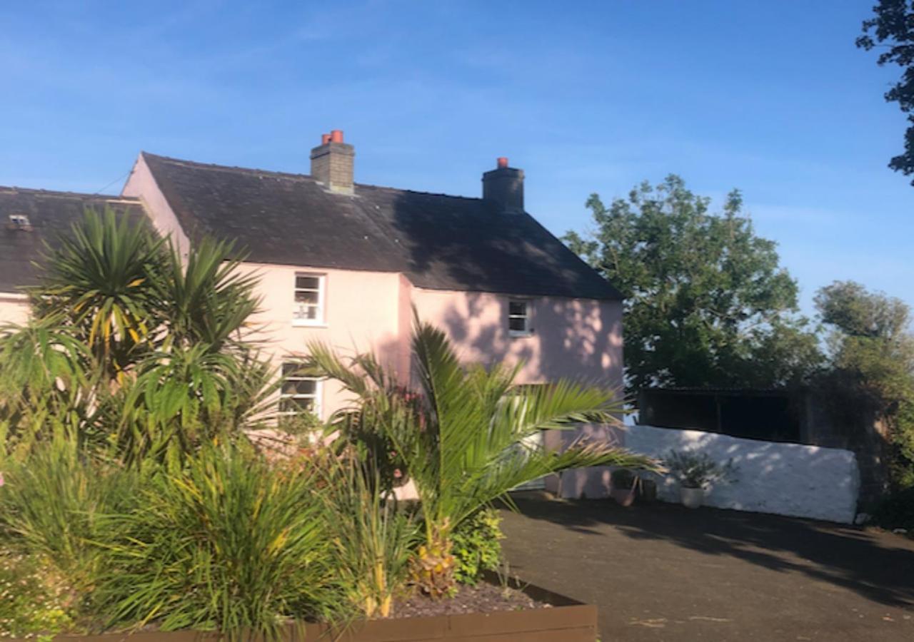 The Pink Cottage Upstairs Suite & Garden Summer Room Whitehead Eksteriør bilde