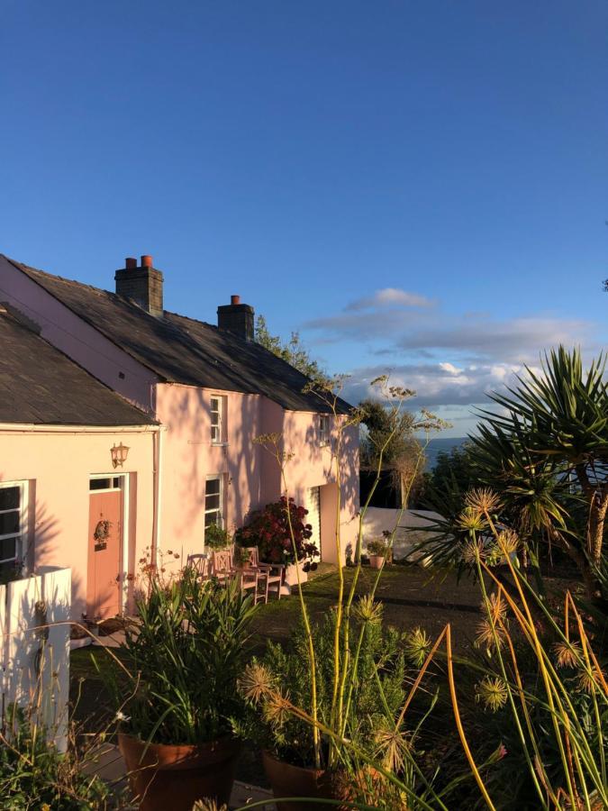 The Pink Cottage Upstairs Suite & Garden Summer Room Whitehead Eksteriør bilde