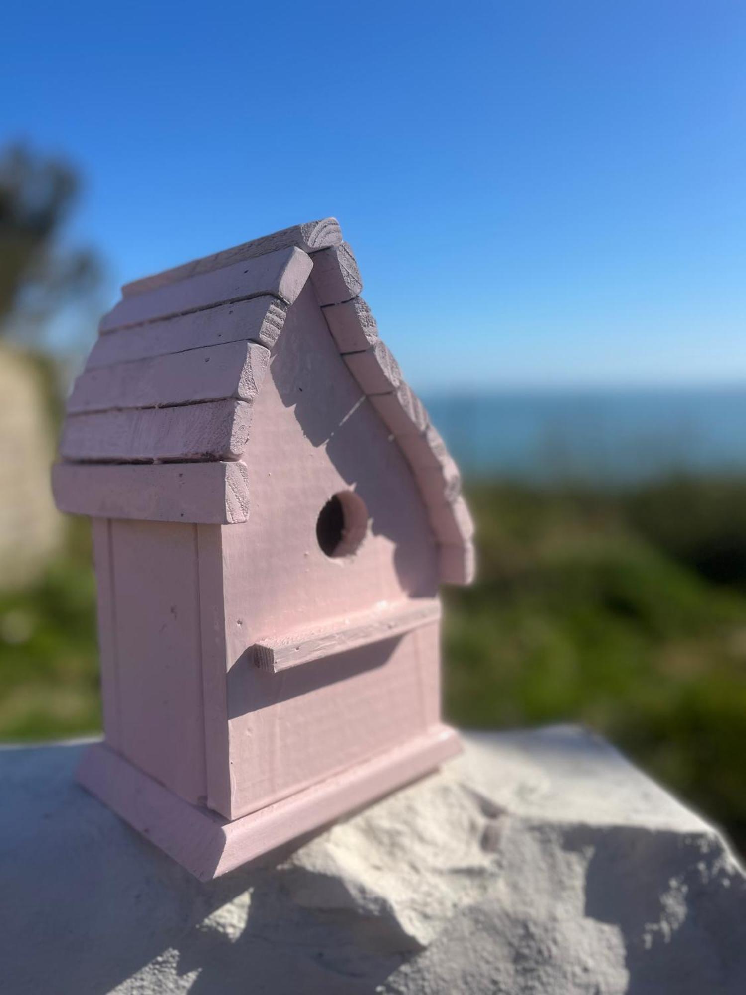 The Pink Cottage Upstairs Suite & Garden Summer Room Whitehead Eksteriør bilde